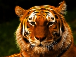 Fractal tiger