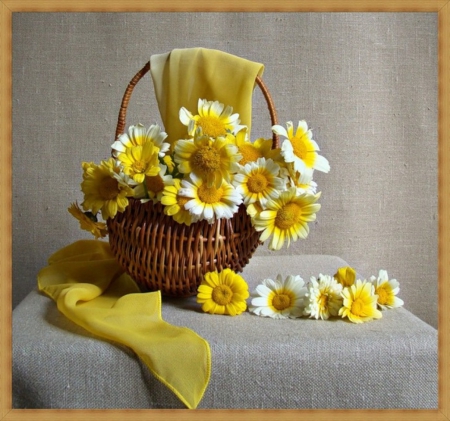 Still life - flowers, daisies, still life, nature