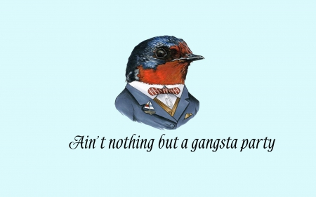 Bird - party, saying, bird, quote