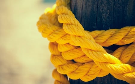 Rope - wood, rope, yellow, photo