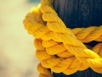 Rope