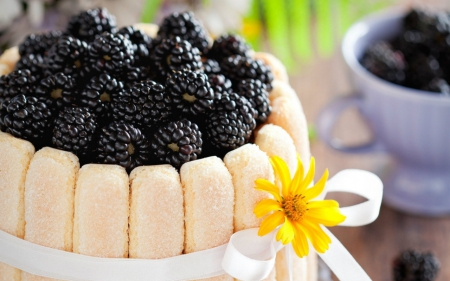 Fruits and biscuits - food, fruit, flower, raspberry