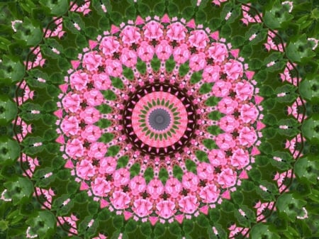 Pink flowers mandala - flowers, absract, mandala, pink