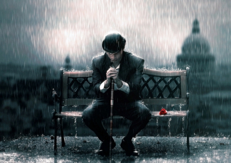 Rain - bench, rose, man, rain