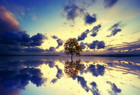 Reflection - clouds, lake, reflection, tree, sky