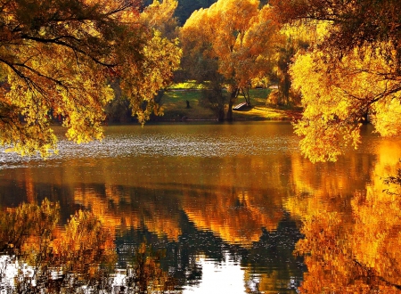 Autumn lake - quiet, relax, tranquil, reflection, calmness, shore, lake, golden, nice, place, falling, branches, trees, beautiful, pond, lovely, rest, fall, glow, nature, autumn, serenity, foliage, park