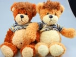 Teddy bears