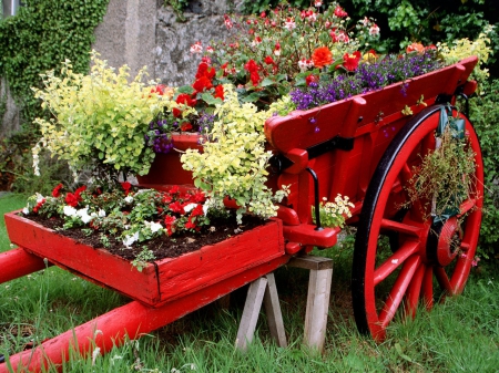 Flowers - flowers, garden, red, cart