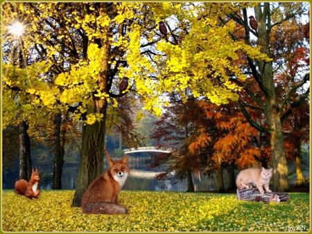 welcome the autumn - river, tree, fox, autumn