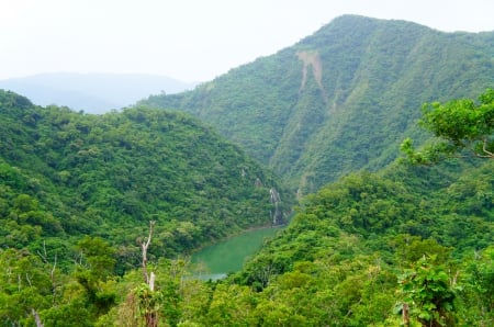 Green Lake - lake, mountain, tree, green