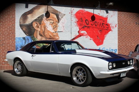 musclecar - firebird, chevrolet, ss, camaro