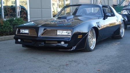 Trans am - ss, musclecar, pontiac, trans am