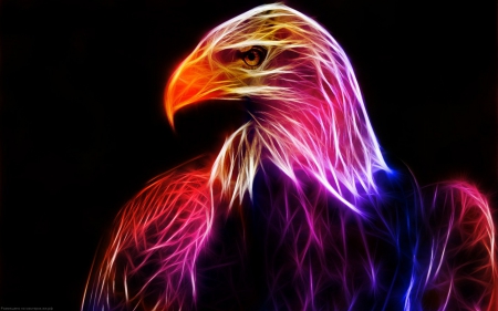 Fractal eagle - eagle, art, bald, fractal