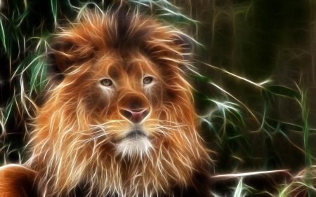 Fractal lion - wildlife, animal, fractal, lion