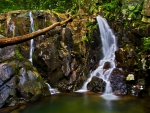 Rose River Falls