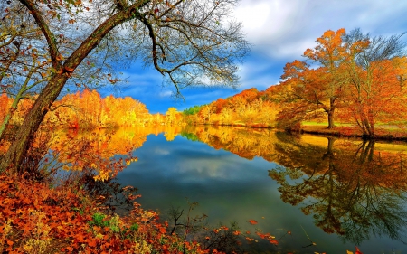 Autumn lake - quiet, grass, leaves, calmness, shore, lvoely, lake, golden, nice, sky, clouds, falling, branches, trees, water, beautiful, colors, lovely, fall, river, nature, season, autumn, serenity, foliage