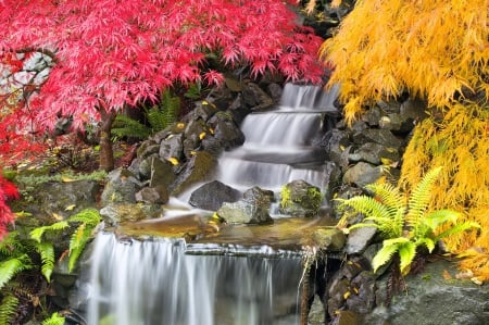 Backyard waterfall - quiet, cascades, summer, stream, forest, leaves, calmness, plants, paradise, nice, place, falling, branches, trees, water, beautiful, slope, beauty, lovely, stones, fall, colorful, nature, waterfall, serenity, rocks, silent