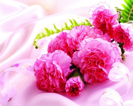 Beautiful flowers - flowers, blooms, petals, pretty