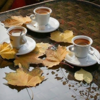 Fall Time for Coffee