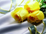 Yellow roses