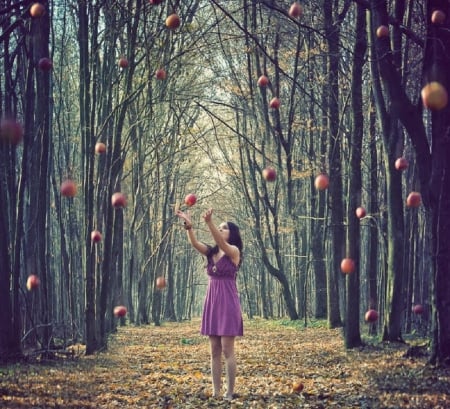 Apple Harvest - harvest, girl, apples, people