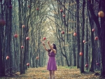 Apple Harvest