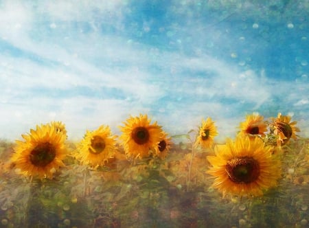 Sunflowers - sunflowers, art, nature, painting