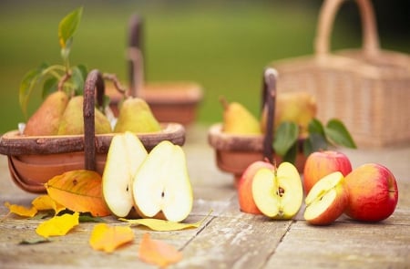 Autumn Fruits - apples, autumn, photography, table, fruits, pears