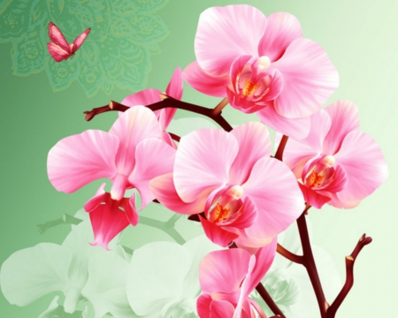 Pink orchids - orchids, art, flowers, pink