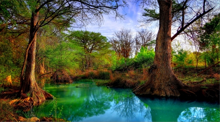 FOREST CREEK - hill, ogawa, forest, texas, usa, country, creek