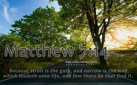 Matthew 7:14 - bible verse wallpaper, bible verse, matthew 7 14, bible verse background