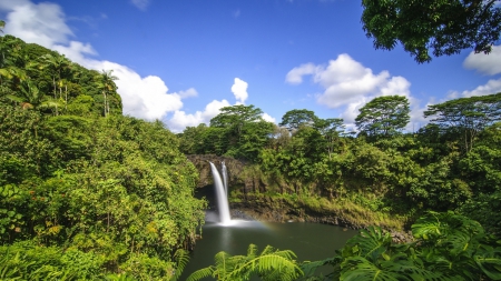 rainbow falls in hilo hawaii - waterfalls, fool, rainbow, jungle, sky