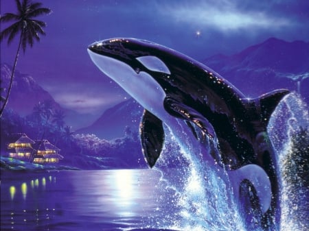 Orca - whale, sea, killer whale, orca