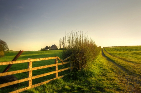 Fence - sky, nature, fence, grass