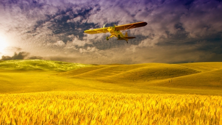 *** Plane over a field of grain *** - nature, field, grain, plain