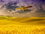 *** Plane over a field of grain ***