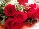 *** Red roses ***