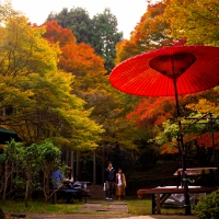 Autumn in Kyoto