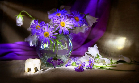 Purple - Still life - abstract, blue, brown, photography, sunshine, light, still life, shadow, flowers, white, purple, arangement, simplicity, background, art