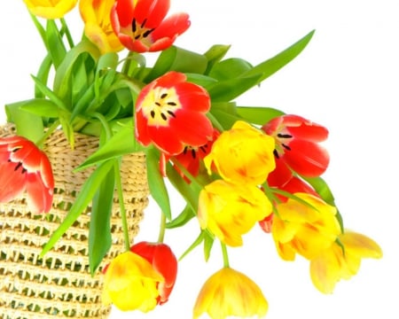 Beautiful flowers - bloom, flowers, basket, perals