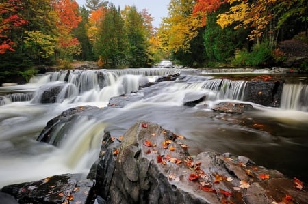 Bond falls - nice, autumn, trees, water, stream, waterfall, foliage, creek, fall, pretty, falling, cascades, falls, shore, bond falls, lovely, nature, forest, beautiful, leaves