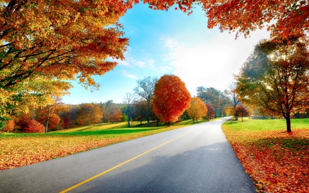 ENJOY YOUR RIDE! - road, trees, leaves, autumn