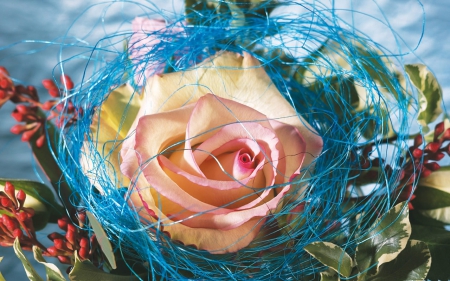 rose of beauty - fantasy, rose, blue, flower