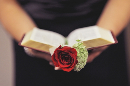 : âœ¿ : - love, passion, red love, roses, red, red passion, book, red roses