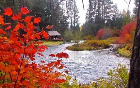 fall collor in the country - collor, fall, nature, beauty, country