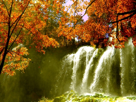 AUTUMN WATERFALLS - nature, branches, waterfalls, trees