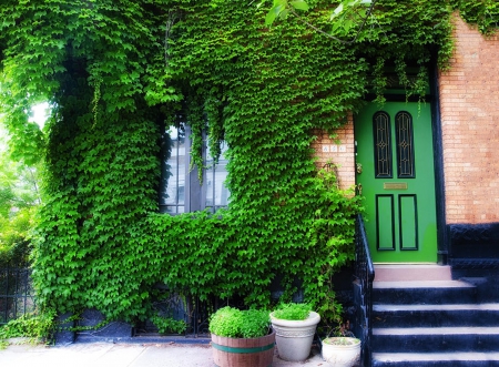 beautiful home - beautiful, green, houses, architecture, home