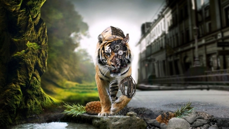 Tiger - animal, fantasy, tiger, cat