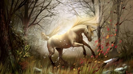 Unicorn - fantasy, nature, horse, unicorn