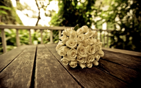 *** White bouquet *** - flowers, bouquet, white, nature